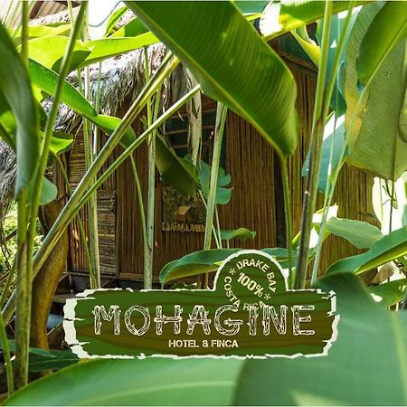Mohagine Hotel Drake Bay Exterior photo