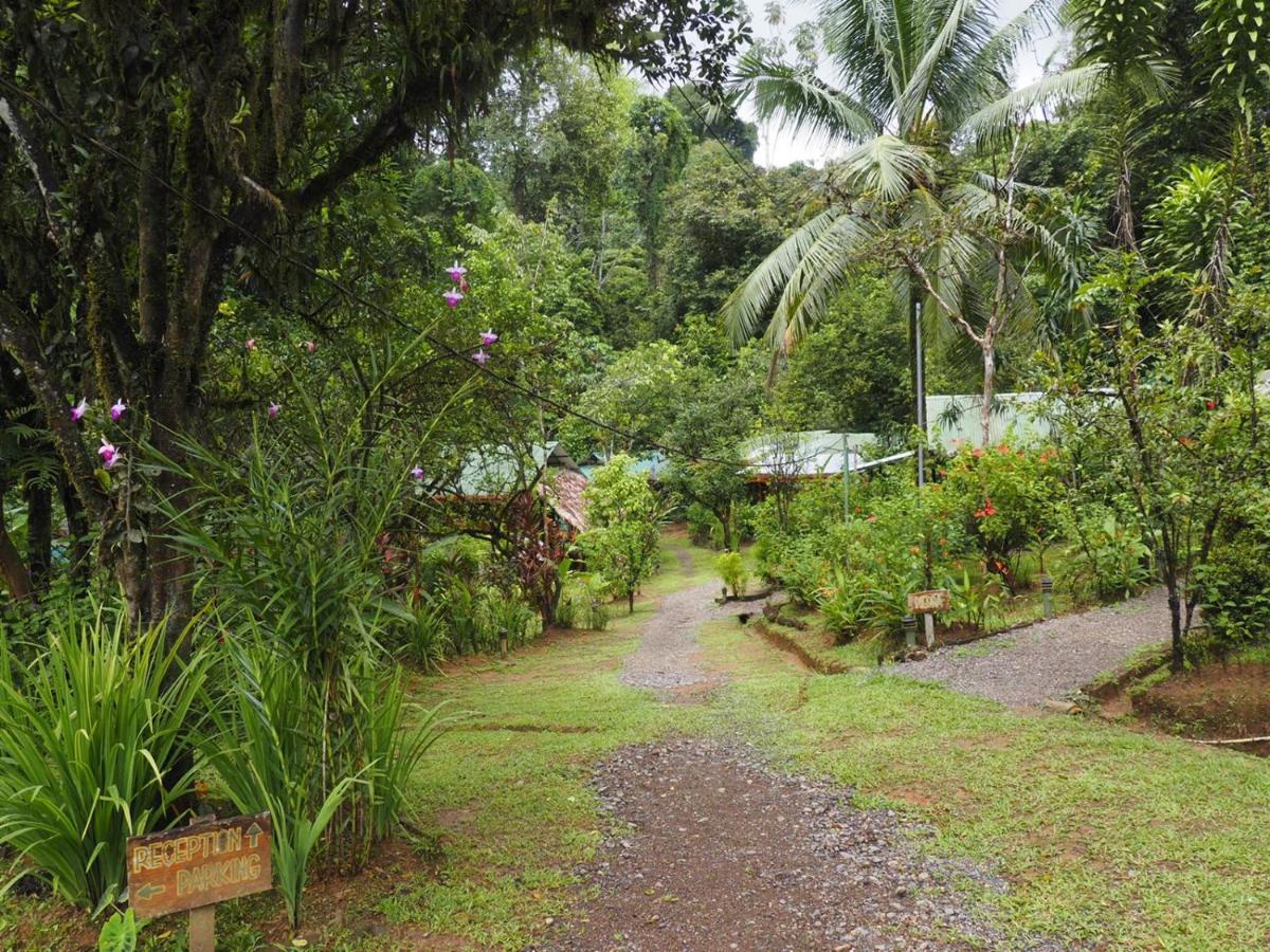 Mohagine Hotel Drake Bay Exterior photo