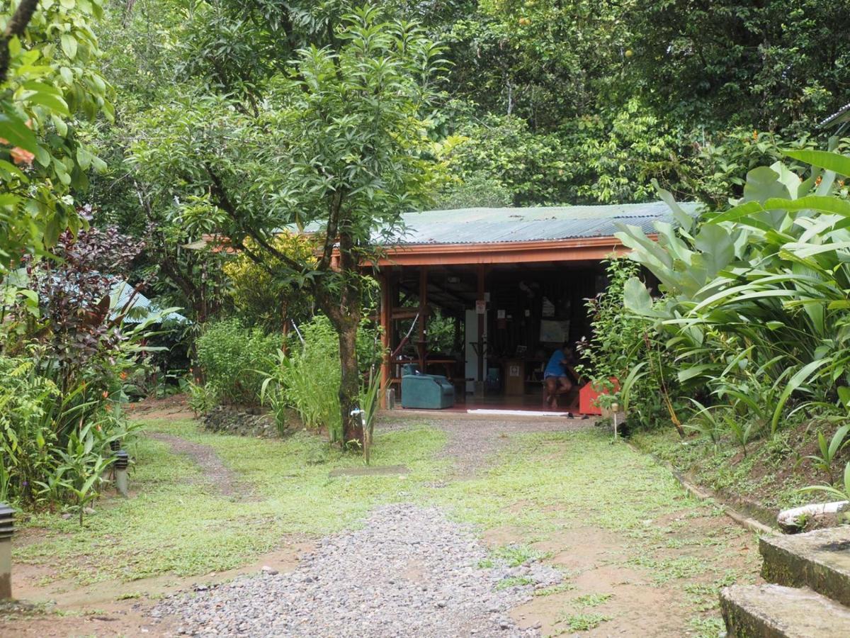 Mohagine Hotel Drake Bay Exterior photo