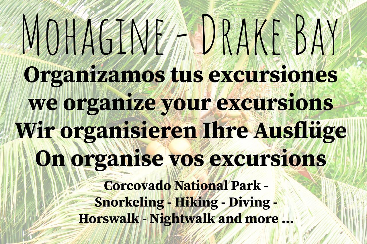 Mohagine Hotel Drake Bay Exterior photo