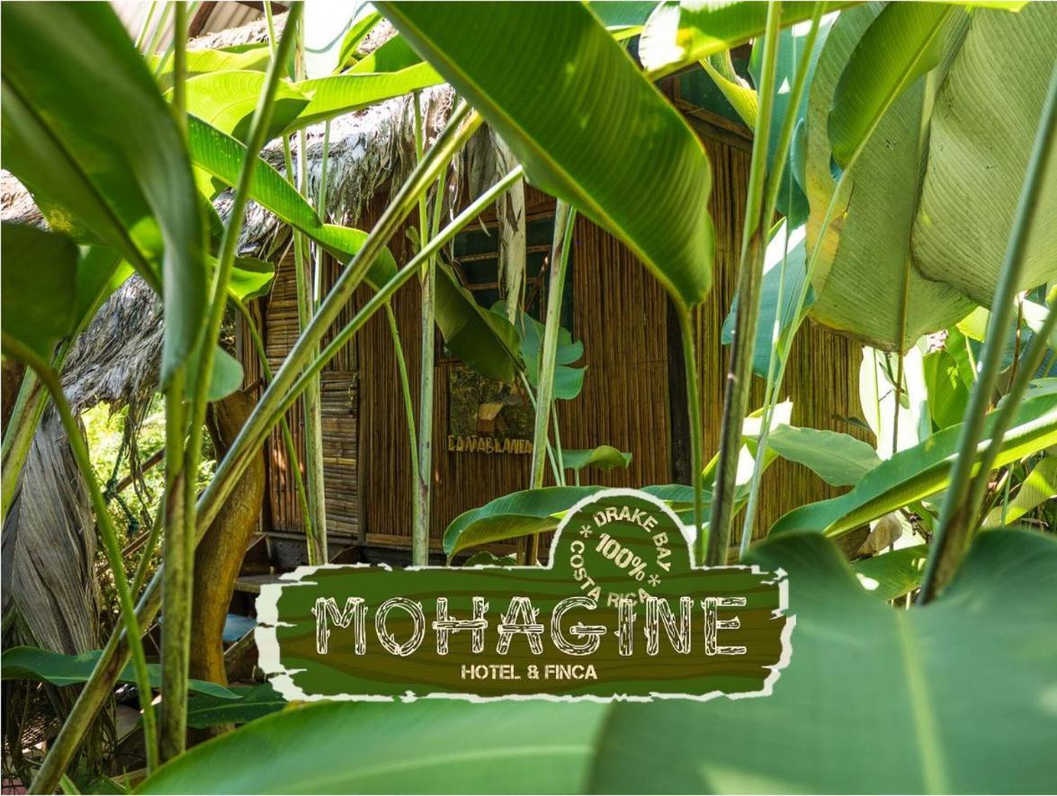 Mohagine Hotel Drake Bay Exterior photo